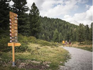 Hiking tours without a car