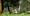 ap0q8236-c-hansi-heckmair