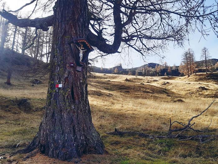 sagen-frau-in-der-flemm