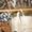 02820221016-kiekemma-20221016-c-koni-studios-com