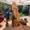 fbab0092-1d1f-4366-9124-91f1dadfea34