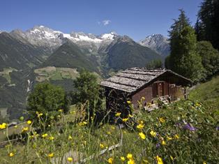 almhuette-mit-zillertaler-gorfer