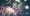 117-tvsand-krampus-kottersteger-171208-di7r0656
