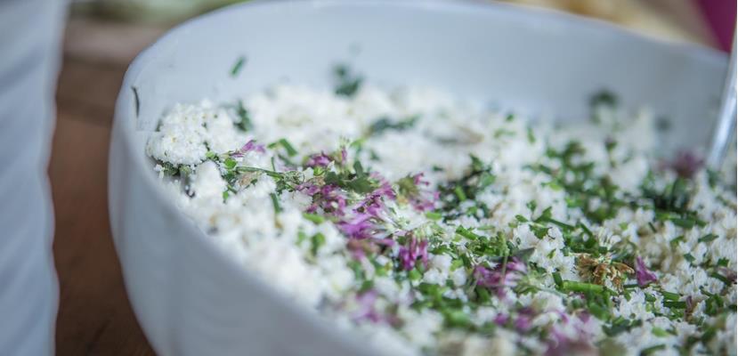 selbstversorger-22-06-2017-suedtirol-balance-manuel-kottersteger-2017-115