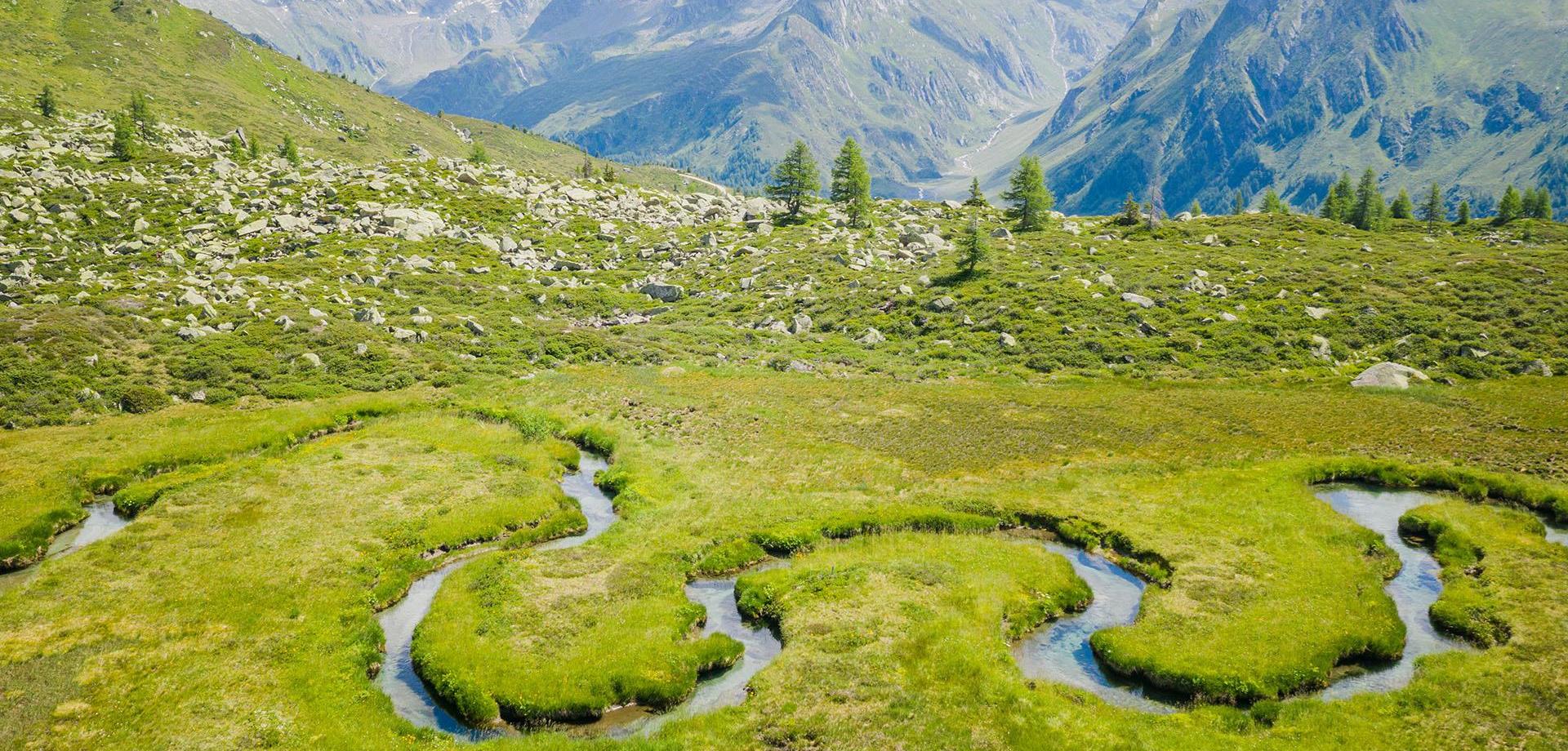 biotop-wieser-werfer-ahrntal-valle-aurina-tv-ahrntal-www-wisthaler-com
