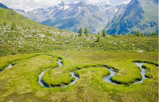 biotop-wieser-werfer-ahrntal-valle-aurina-tv-ahrntal-www-wisthaler-com