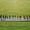 ahrner-bittgang-2022-screenshot-credits-manfred-feichter-13