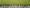 ahrner-bittgang-2022-screenshot-credits-manfred-feichter-13