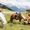 2022-ponyreiten-speikboden-lowres-img-2237