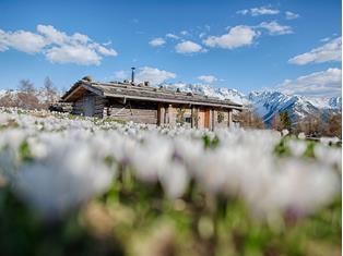 fruehling-ahrntal-valle-aurina-tv-ahrntal-filippo-galluzzi-2