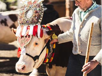 00520221016-kiekemma-20221016-c-koni-studios-com