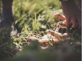 Cucina senza glutine