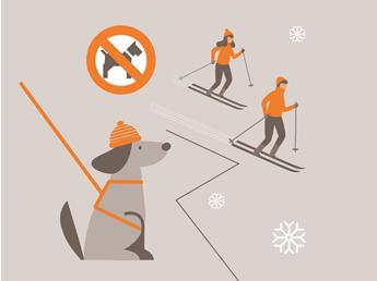 doginfo-illustrationen-zeichenflaeche-1-kopie-5