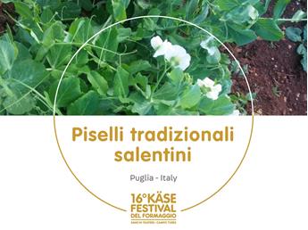 presidi-1920-x-1440px36