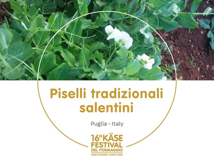 presidi-1920-x-1440px36