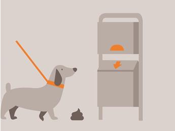 doginfo-illustrationen-zeichenflaeche-1-kopie-6
