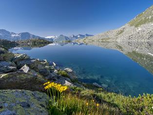waldnersee-alfred-stolzlechner