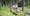 -wisthaler-com-20-08-tv-ahrntal-wander-haw-3817