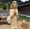 image00036[2]