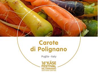 presidi-1920-x-1440px35