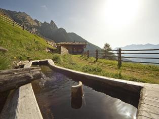 alter-brunnen-gorfer