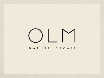 26-olm
