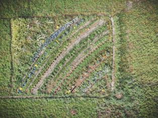 002-taufrisch-kottersteger-190830-dji-0402-2