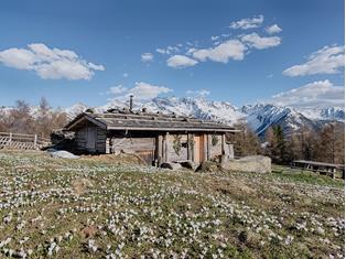 fruehling-ahrntal-valle-aurina-tv-ahrntal-filippo-galluzzi