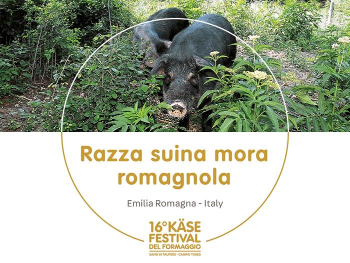 presidi-1920-x-1440px24