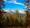 ahrntalersunnsatwege-c-touristinfo-ahrntal-gorfer-121