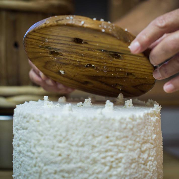 profilbild-mustsee-tradition-genuss