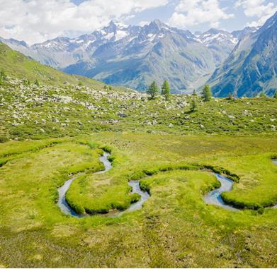 -wisthaler-com-bearbeitet-2