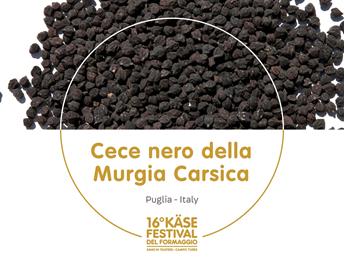 presidi-1920-x-1440px38