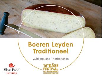 presidi-1920-x-1440px20