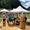 image00018
