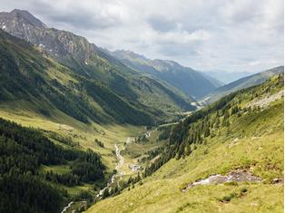 The valley of health