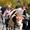almabtrieb-rein-c-tv-sand-m-steger-14
