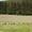 ahrner-bittgang-2022-screenshot-credits-manfred-feichter-18