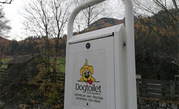 Dog Toilet at Weissenbach/Rio Bianco