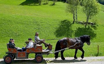 Horse-drawn carriage ride trough the autumnal landscape of the Ahrntal valley