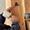 image00003