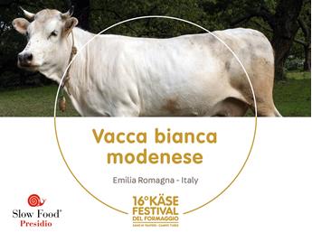 presidi-1920-x-1440px11