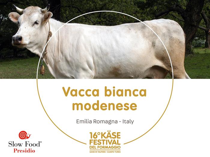 presidi-1920-x-1440px11