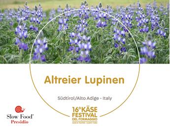 presidi-1920-x-1440px5