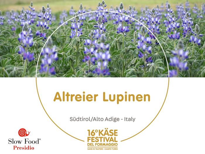 presidi-1920-x-1440px5