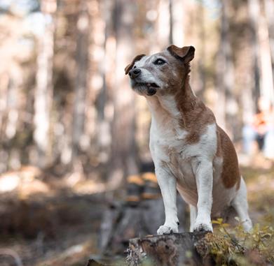 021-20211001-talklang-c-socialventures-img-0420-20211001