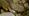 cleanupdays-tirol-251