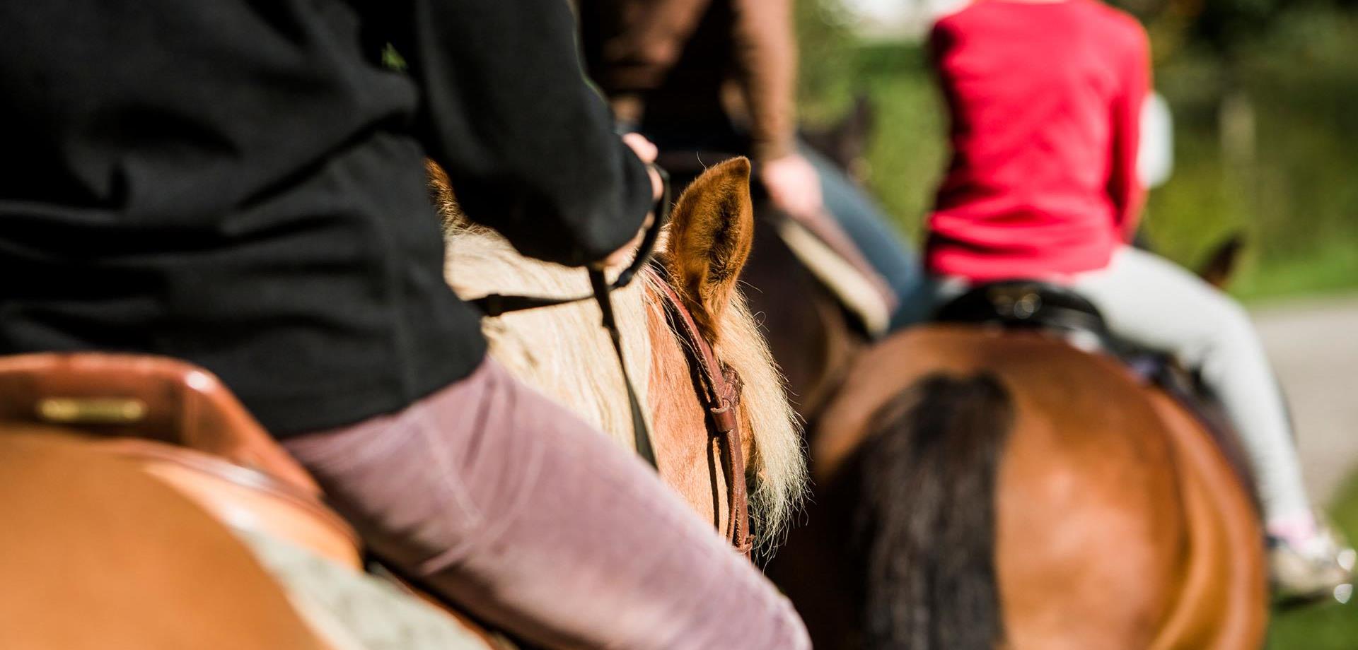 reiten-ahrntal-valle-aurina-idm-suedtirol-hansi-heckmair-2