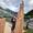 image00073