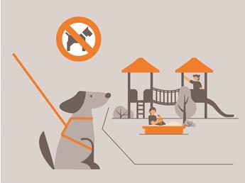 doginfo-illustrationen-zeichenflaeche-1-kopie-4